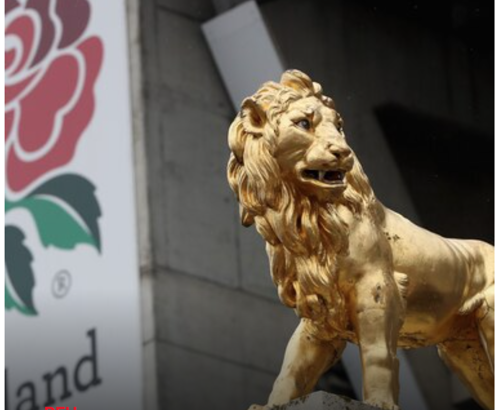 Image for Member clubs ratify RFU Board and Council appointments